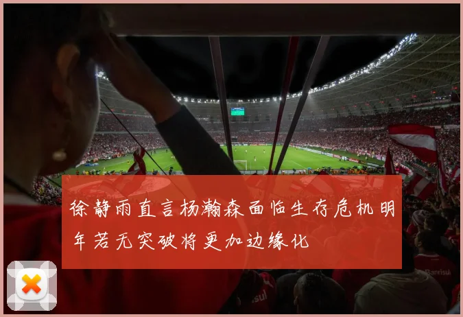 徐静雨直言杨瀚森面临生存危机明年若无突破将更加边缘化